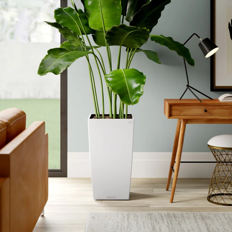 Cubi Self Watering Pot Planter | Wayfair Professional