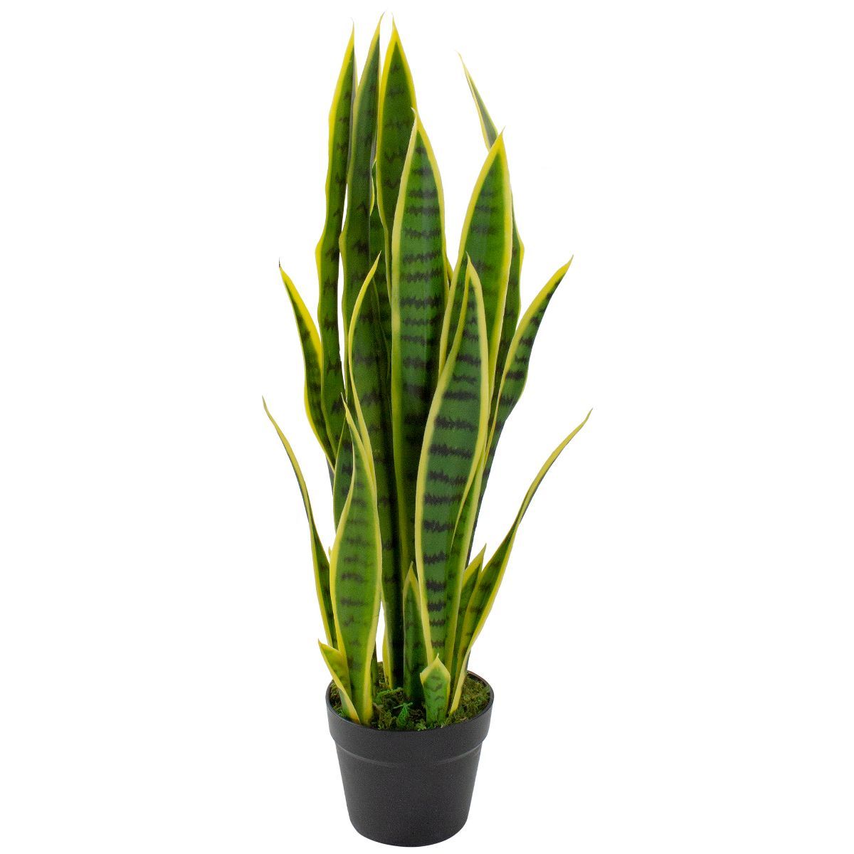 Northlight 29" Artificial Potted Green Striped Leaf Dracaena Snake Plant | Target