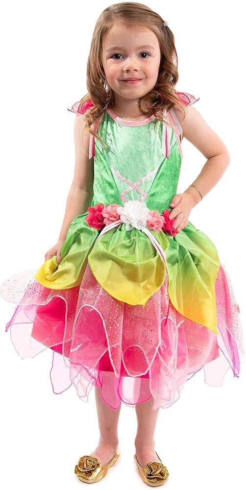 Little Adventures Springtime Fairy Dress Up Costume | Amazon (US)