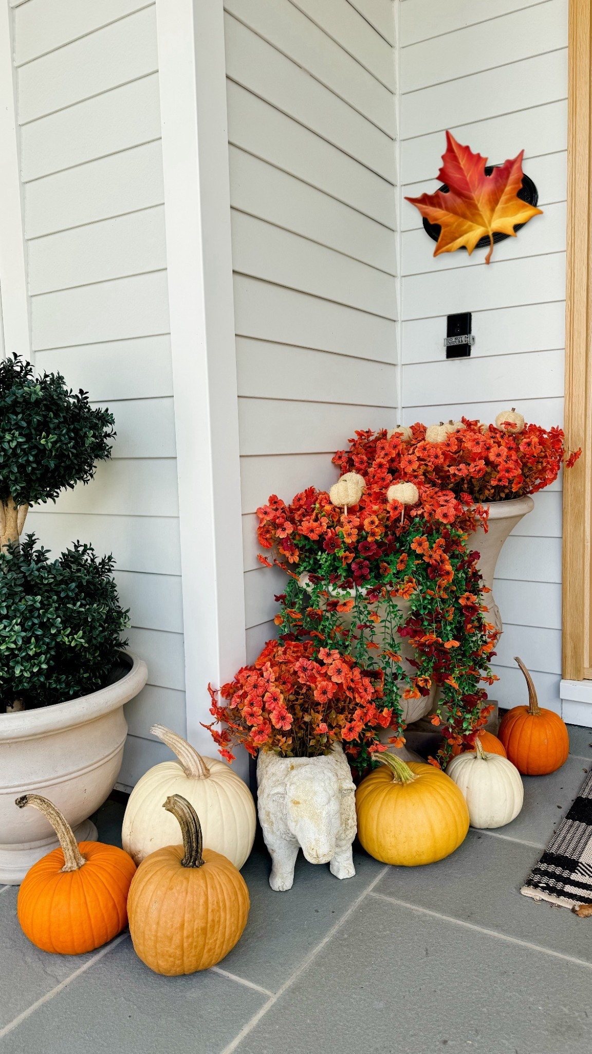 Faux is the way to go (for mums at least) 😅♥️ just can’t justify keeping real ones alive with my limited time these days. I had these urns filled with soil & popped each piece in easy peasy beautiful 👌🏼

#LTKHome #LTKHalloween #LTKSeasonal