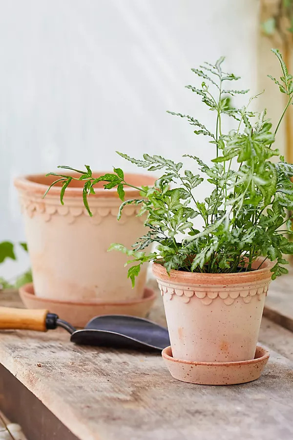 Bergs Copenhagen Terracotta Pot + Saucer Set in Pink, Size: 10 " at Terrain | Terrain