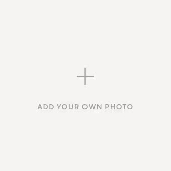 Sculpted Moose Object | Pottery Barn (US)