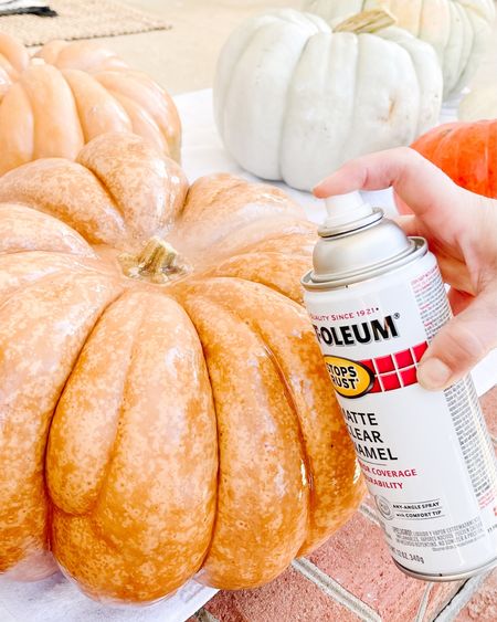 How to clean and preserve your pumpkins on the blog. 

#LTKunder50 #LTKSeasonal #LTKhome