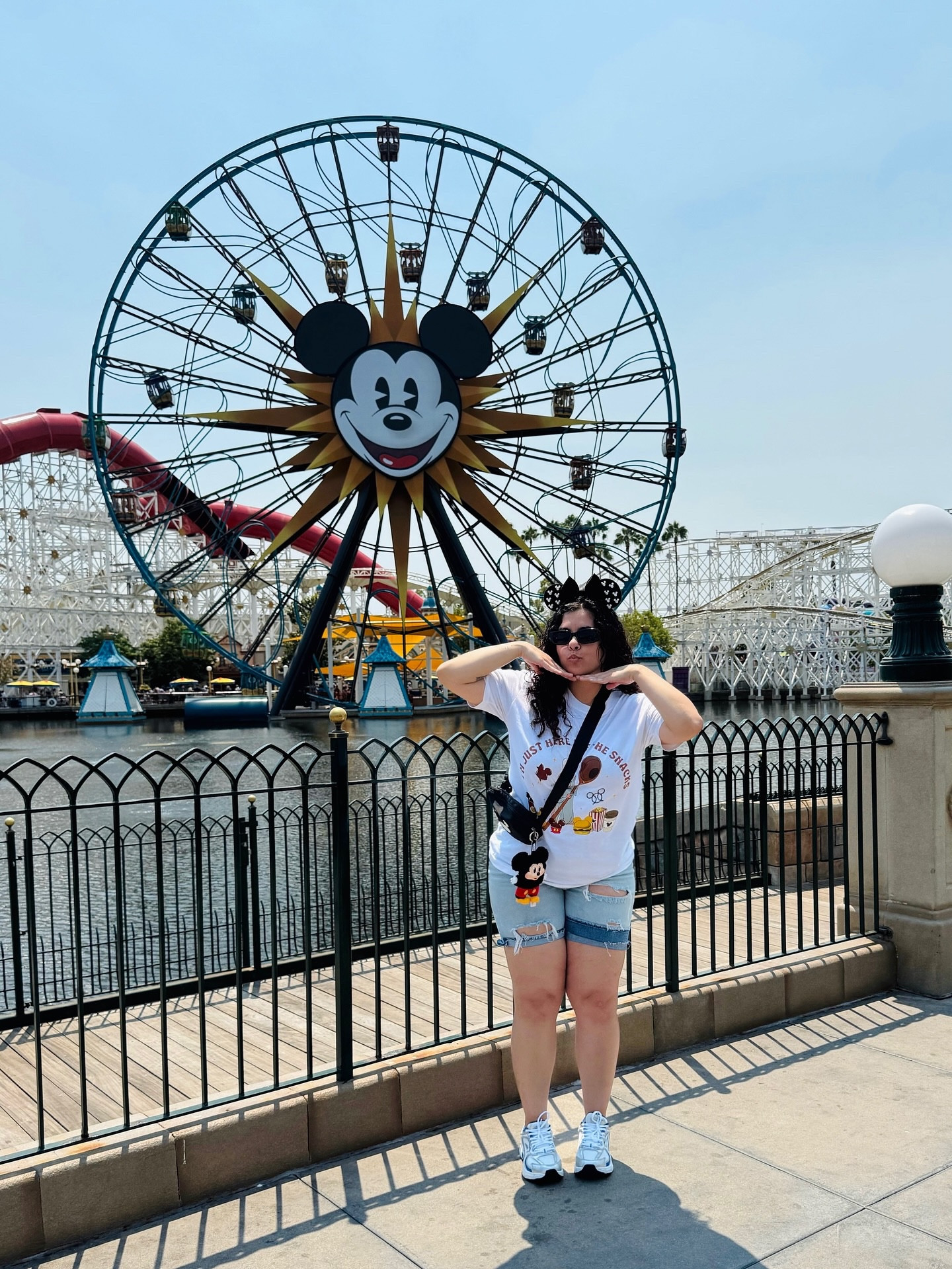 It all started with a mouse 🐭🎡

#disneyland #californiaadventurepark