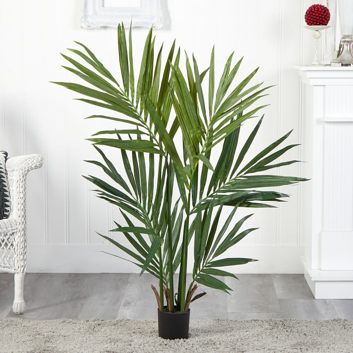 Faux Potted Kentia Palm Tree | West Elm (US)