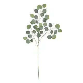 Dusty Green Eucalyptus Stem by Ashland® | Michaels | Michaels Stores