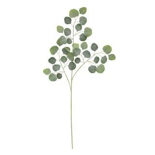 Dusty Green Eucalyptus Stem by Ashland® | Michaels Stores