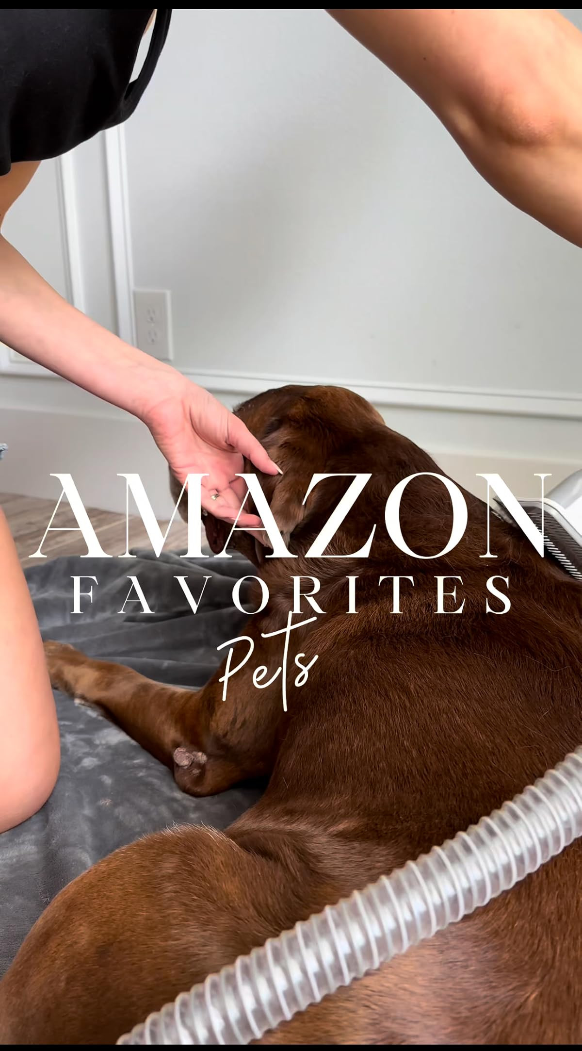 Urdailydealfinder | Amazon (US)