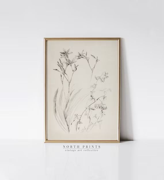 Vintage Neutral Flower Sketch  Botanical Drawing  Minimalist - Etsy | Etsy (US)