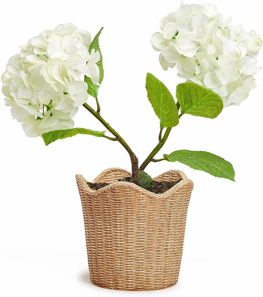 Two's Company Two's Company Scalloped Edge Basket Weave Pattern Cachepot - Resin | Amazon (US)