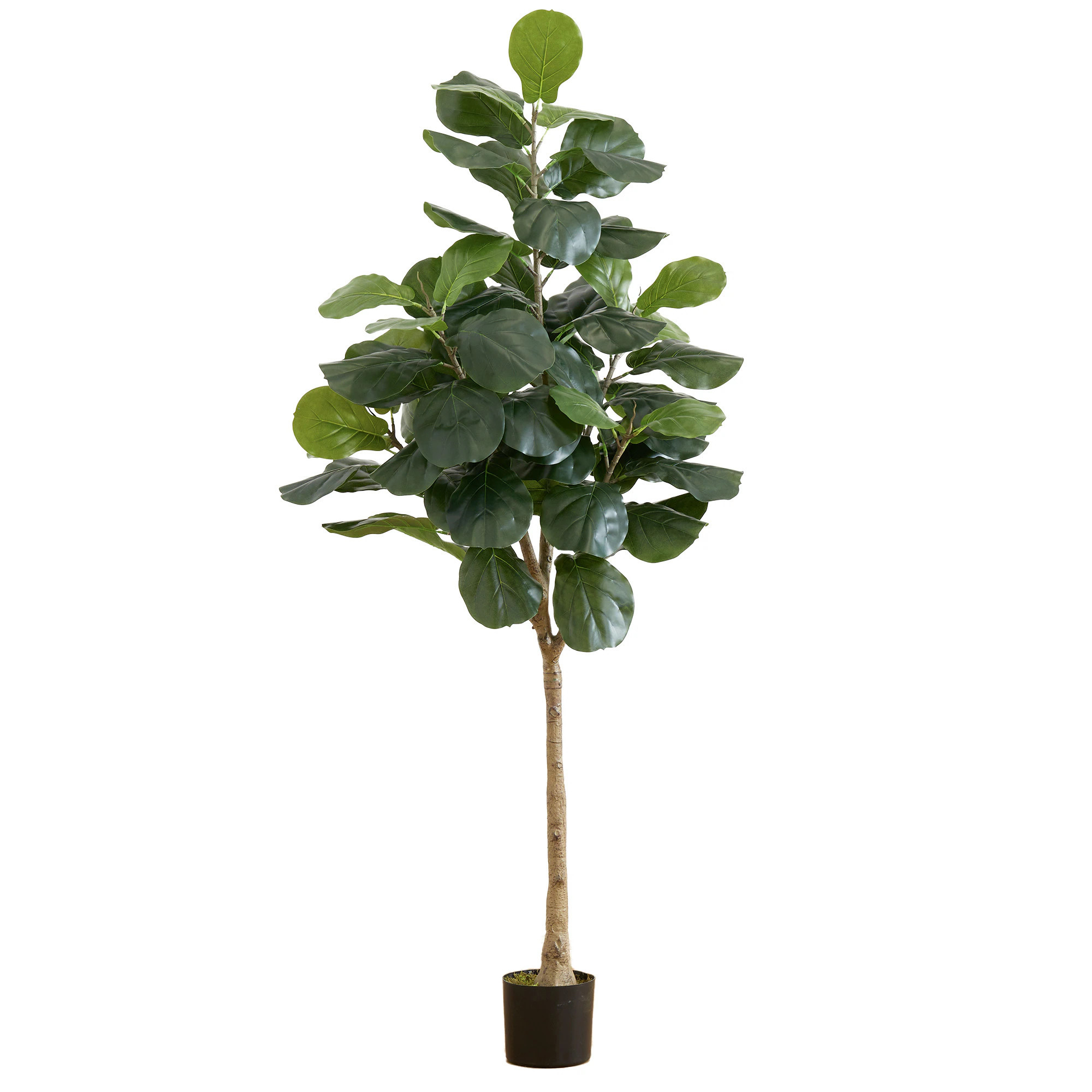 Nearly Natural 72-Inches Pink Indoor Floor Fiddle Leaf Artificial tree in Green | T4418 | Lowe's