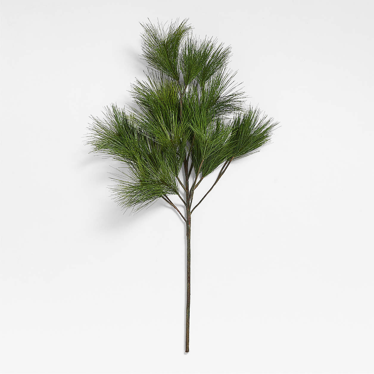 Faux White Pine Branch 48" | Crate & Barrel | Crate & Barrel