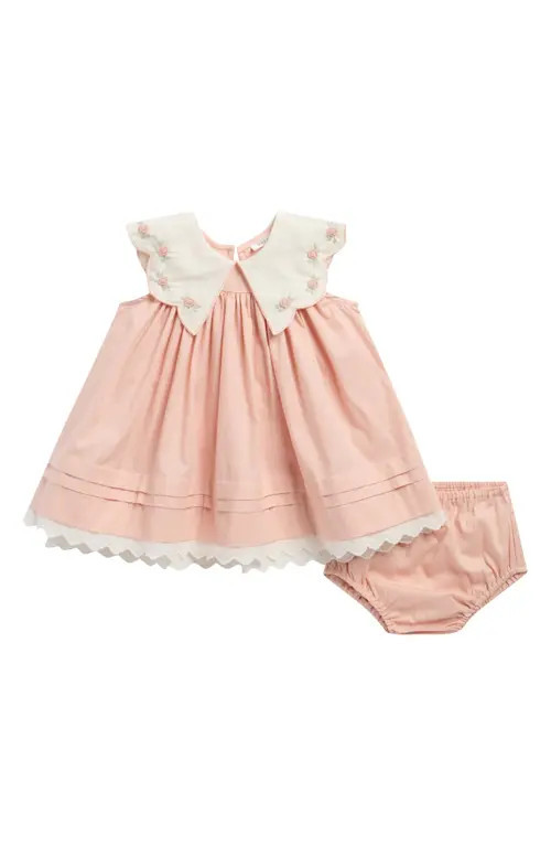 NORALEE Kids' Florence Petal Detail Cotton Dress & Bloomers Set at Nordstrom, Size 18M | Nordstrom