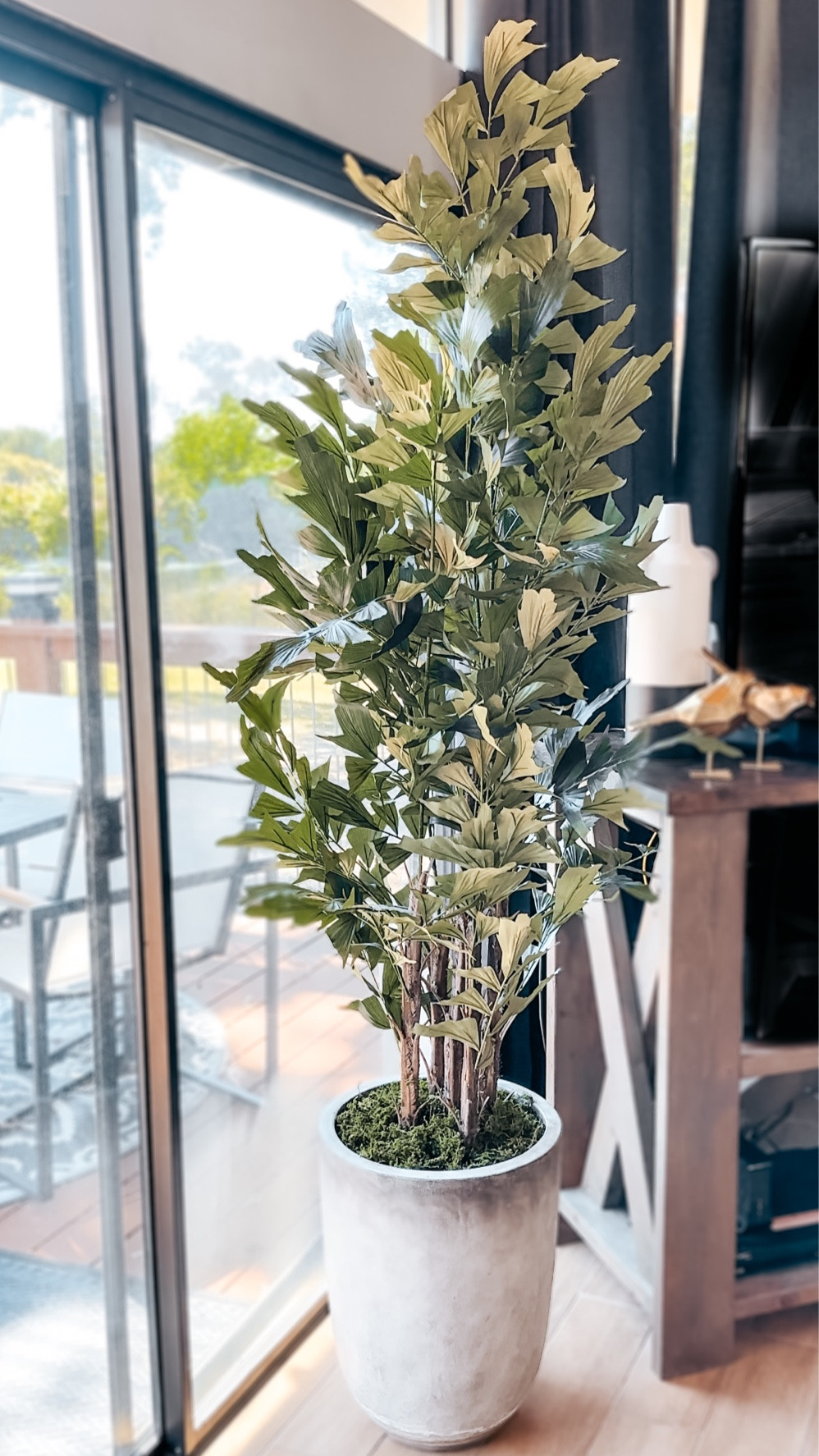 6ft faux tree from Amazon
Amazon home decor
Faux tree
Large tall faux tree 
Faux moss
Home decor

#LTKsalealert #LTKstyletip