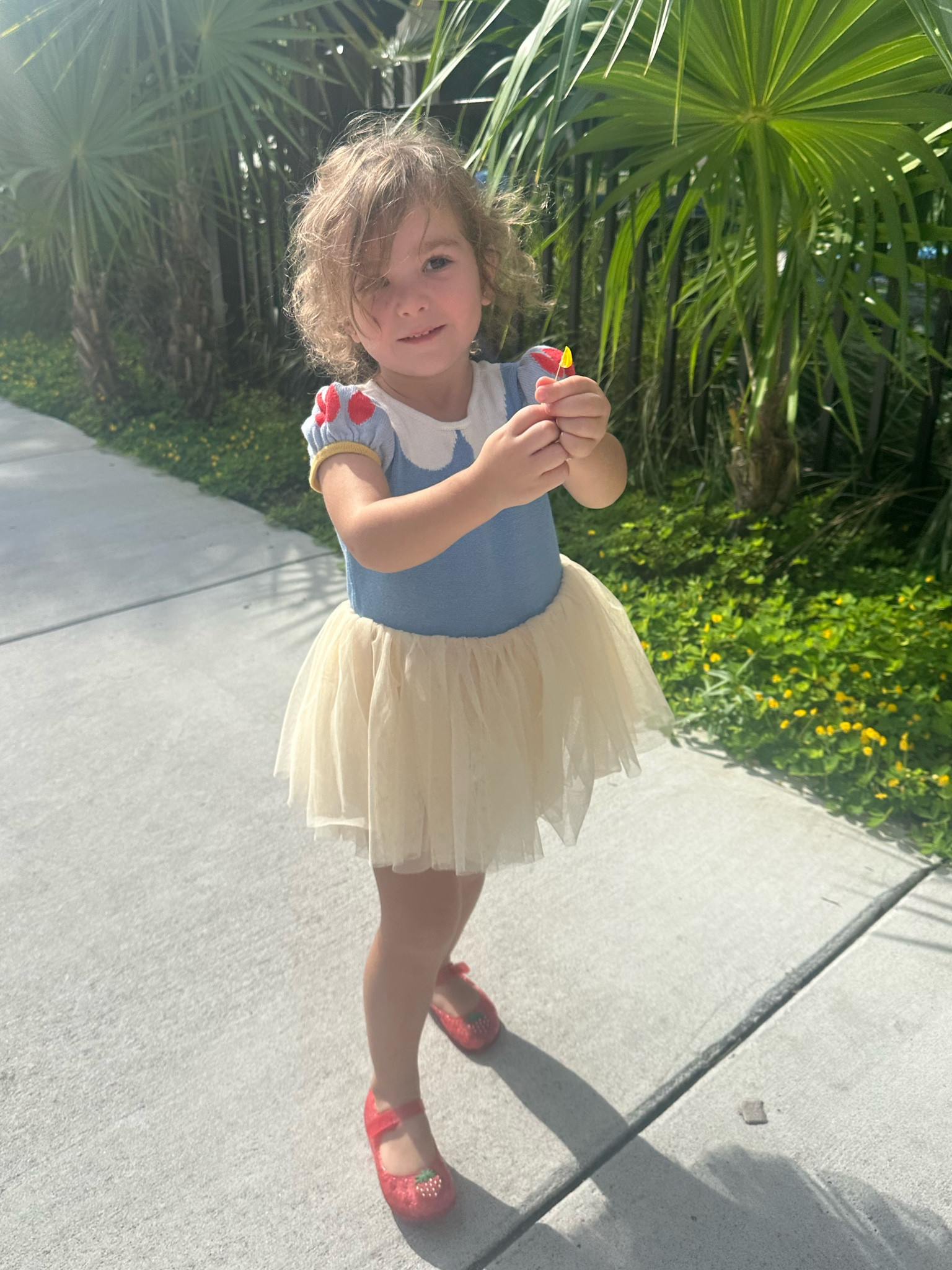 Princess dresses. Perfect for Halloween or as my daughter wears them, every day.

#LTKBaby #LTKKids #LTKFallSale