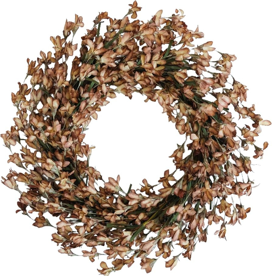 Fall Wreaths for Front Door, Artificial Forsythia Flower Wreath 20\u2019\u2019 Artificial Blossom... | Amazon (US)