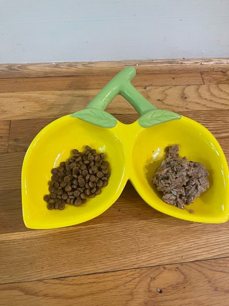 Lemon dog dishes, pet food bowl 

#LTKHome #LTKFindsUnder100 #LTKFindsUnder50