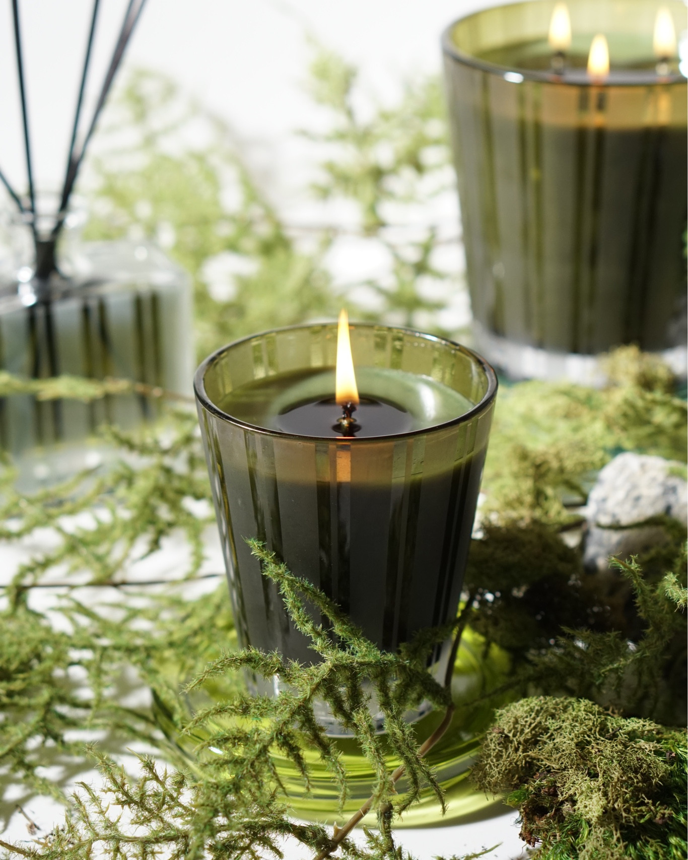 Nest Candle in Midnight Moss & Vetiver.

#dazzlensparkle #nestnewyork #homedecor #homefragrance #candle

#LTKunder50 #LTKGiftGuide #LTKhome