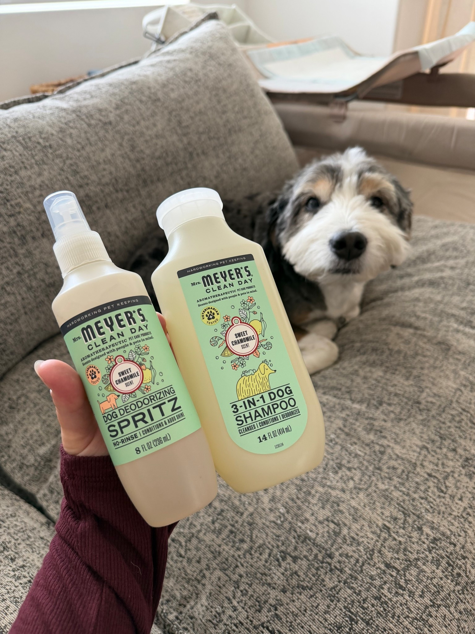 I had no idea Mrs. Meyer’s made dog products, but we’ve been using these lately and I’m honestly so into them. Both are the sweet chamomile scent, which I really like because I feel like so many dog products either smell kind of weird or are always lavender. With a new baby, we are definitely not as on top of dog baths as we used to be, so this has been a really good setup for keeping him fresh in between.

—

Mrs. Meyer’s dog shampoo, Mrs. Meyer’s dog conditioner, Mrs. Meyer’s dog deodorizing spray, Mrs. Meyer’s dog products, sweet chamomile dog spray, sweet chamomile dog shampoo, dog deodorizing spray, dog shampoo and conditioner, dog grooming products, dog bath products, dog bath essentials, pet deodorizing spray, dog refresh spray, dog products for in between baths, dog mom favorites, pet care essentials, dog smell good products, dog grooming must haves, dog products we use, fresh smelling dog products, dog products for home, dog care finds, new mom dog owner, pet products we love, dog essentials

#LTKmomlife