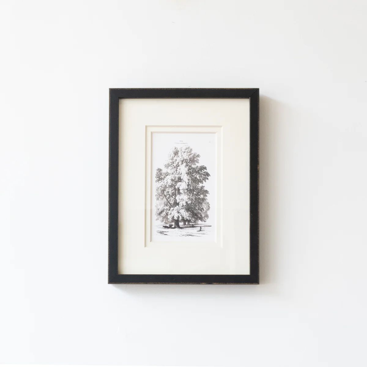 Vintage Tree 3 | Stoffer Home