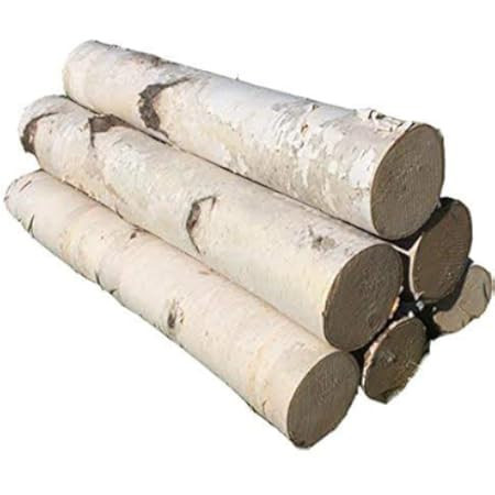 Kingcraft 6 Pack Large Birch Logs for Fireplace Unfinished Wood Crafts DIY Home Decorative Burning(L | Amazon (US)