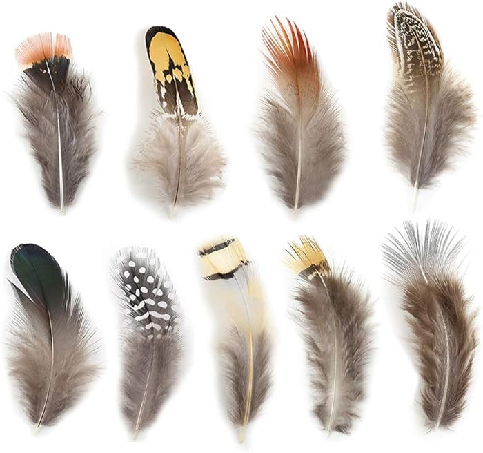 180pcs 9 Styled Natural Feathers Assorted Mixed Feathers for Jewelry and Dream Catcher Crafts | Amazon (US)