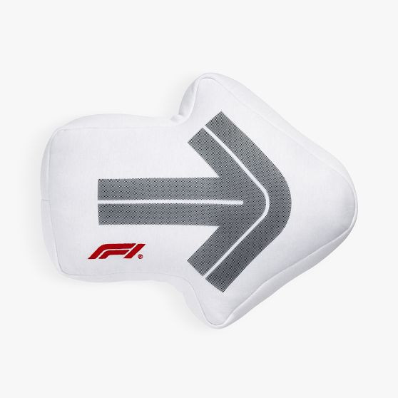 Formula 1® Arrow Shaped Pillow | Pottery Barn Teen