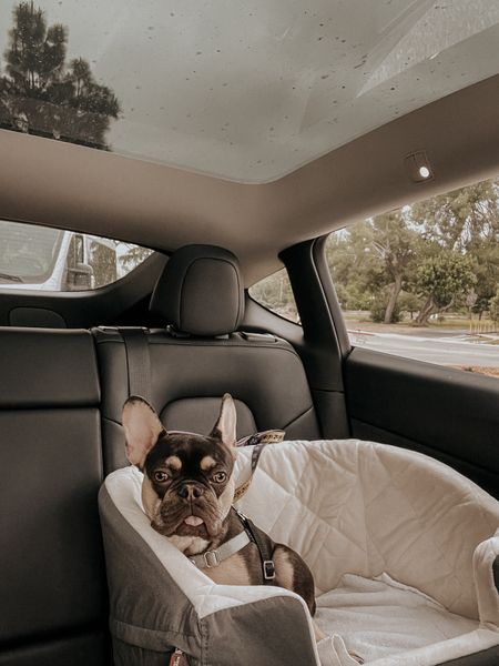 Dog, car seat, pets, safety, travel

#LTKFindsUnder100