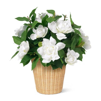 White Gardenia in Freya Vase | Diane James Home