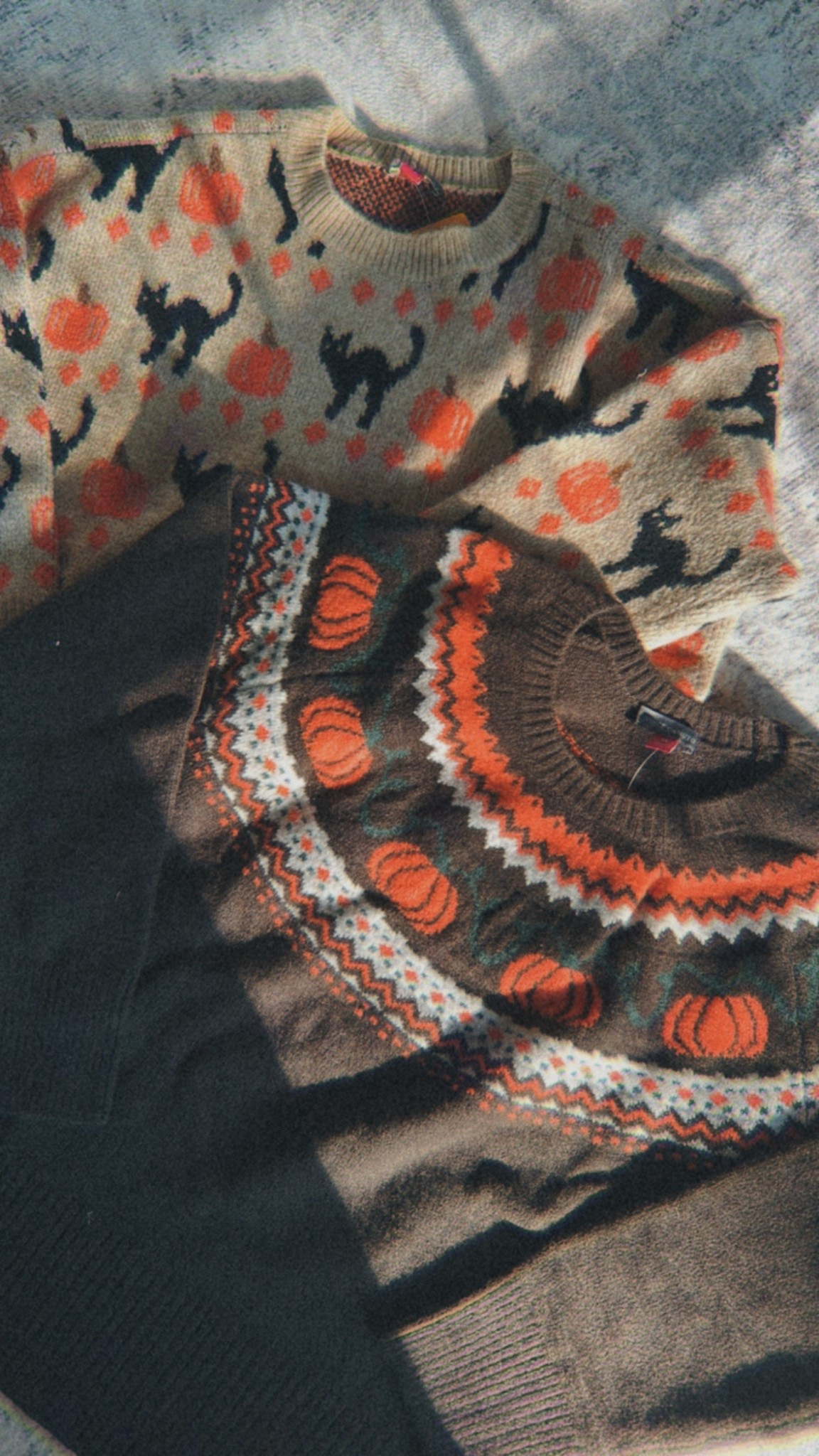 Fall sweaters of my dreams and only $19.99 each 🧡🍂

#LTKSeasonal #LTKFindsUnder50