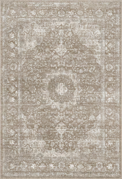 Brown Distressed Persian 8' x 10' Area Rug | Rugs USA