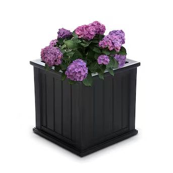 Mayne 20-in x 20-in Black Resin Self Watering Planter with Drainage Holes | Lowe's