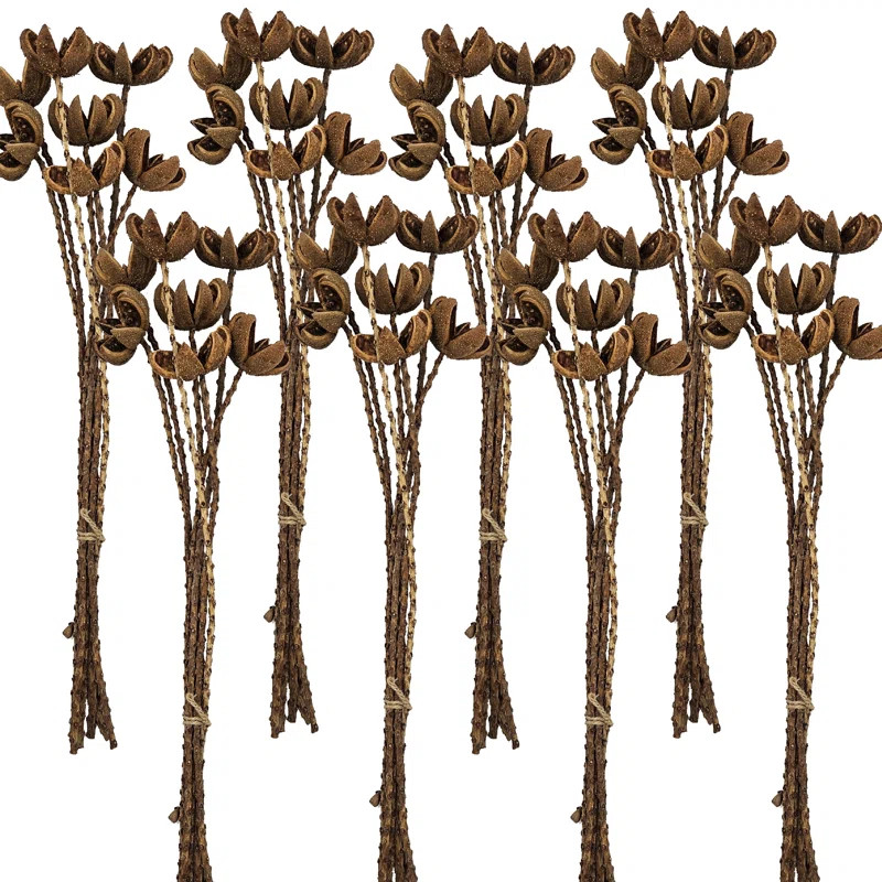 7 Piece Wild Orange Twig Stem   Set of 8   23.5"   Natural (Set of 8) | Wayfair North America