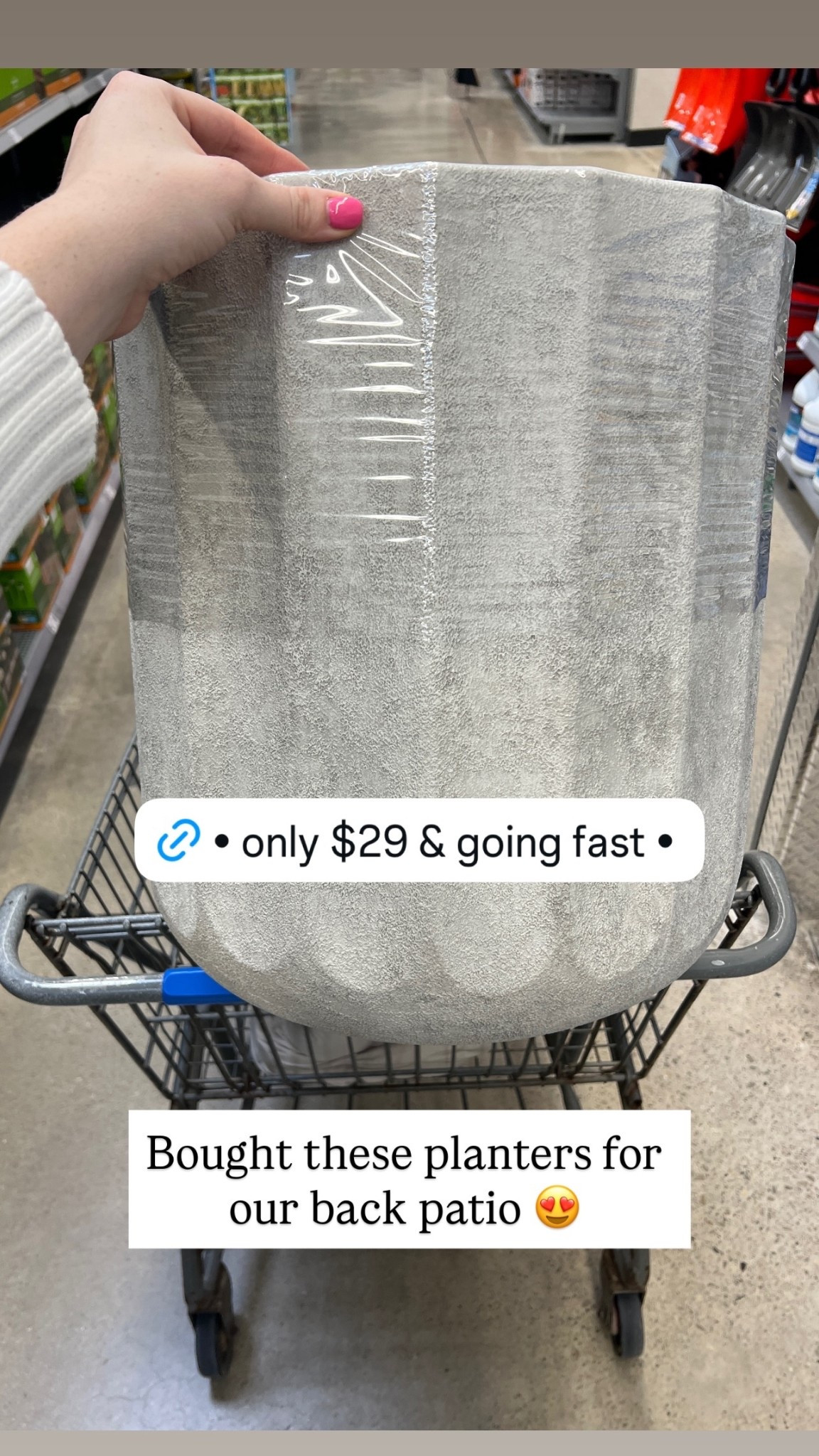 Bought these planters for our back patio 😍