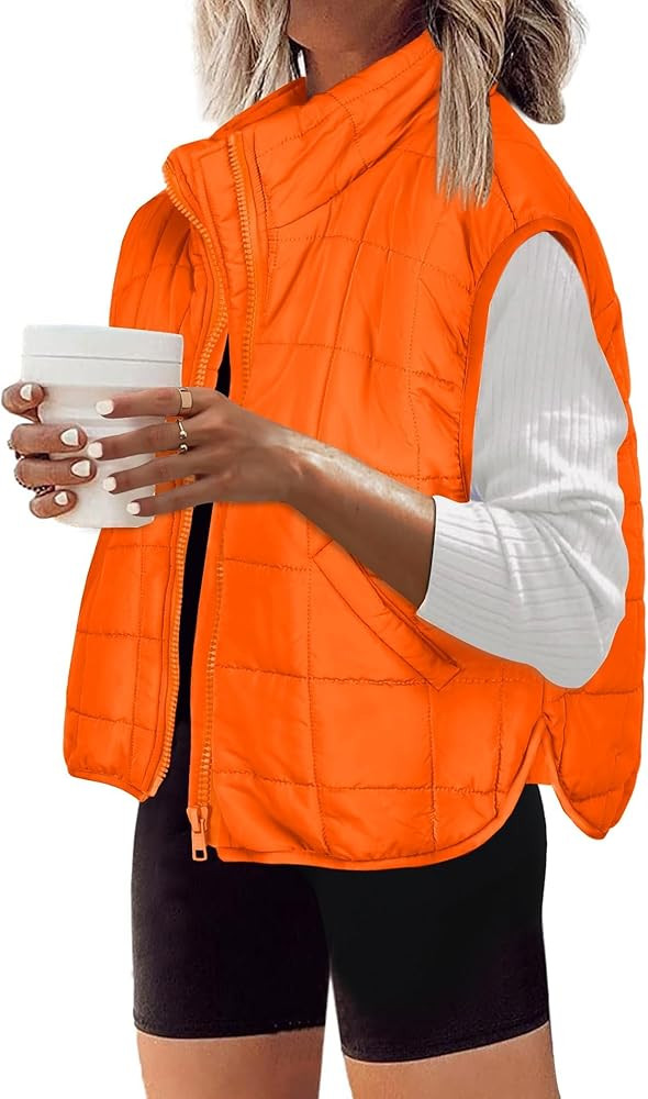Zeagoo Womens Puffer Vest Ladies Sleeveless Zip Up Outerwear Warm Puffer Lightweight Down all Win... | Amazon (US)