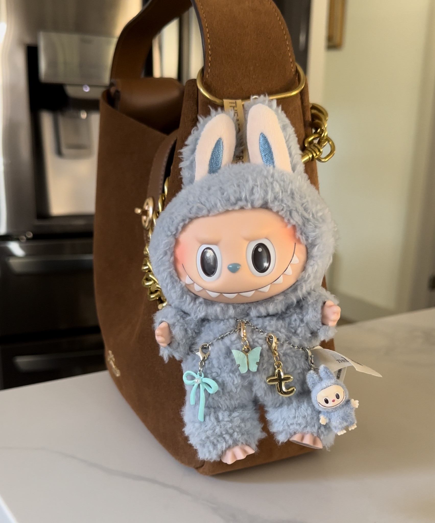 Protect your Labubu in a stylish way #labubu