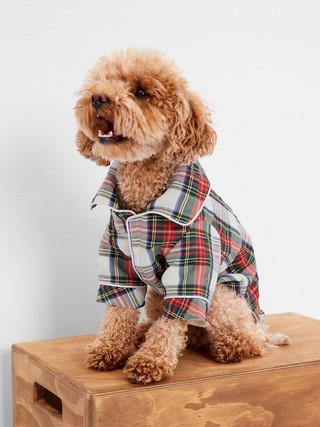 Dog PJs | Gap (US)