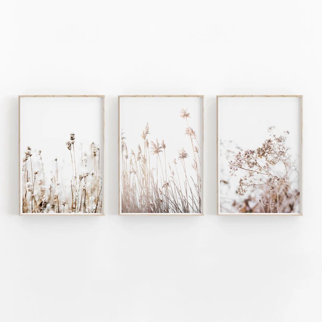 Botanical Print Set of 3, Dried Grass Print, Printable Art, INSTANT DOWNLOAD, Modern Minimalist P... | Etsy (US)