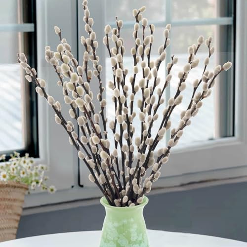 Oning 20 Stems Real Dried Pussywillow Preserved Greenery Branches for Vase- Natural Pussywillows with White Flowers, Snow Willow Branches for Easter Wedding Home Party Hotel Fireplace Yard Decor | Amazon (US)
