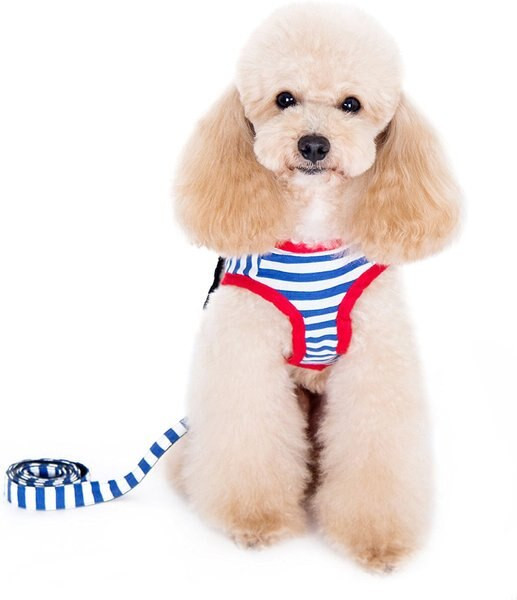 Alfie Pet Vince Sailor Polyester Back Clip Dog Harness & Leash | Chewy.com