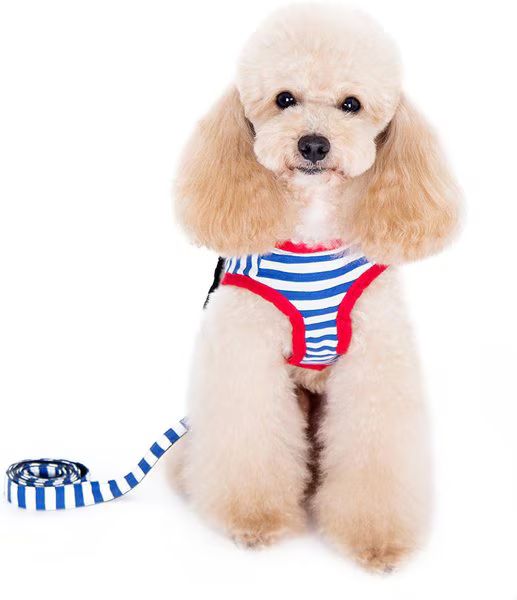 Alfie Pet Vince Sailor Polyester Back Clip Dog Harness & Leash | Chewy.com