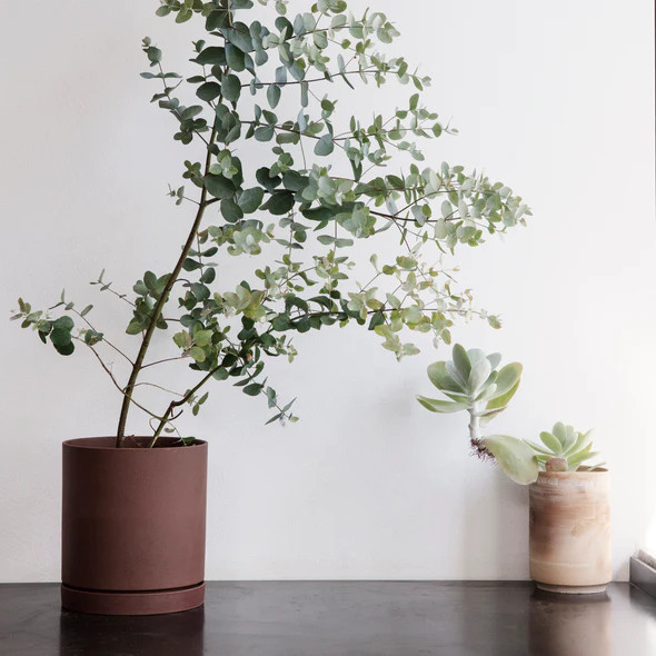 Sekki Planter | 2Modern (US)