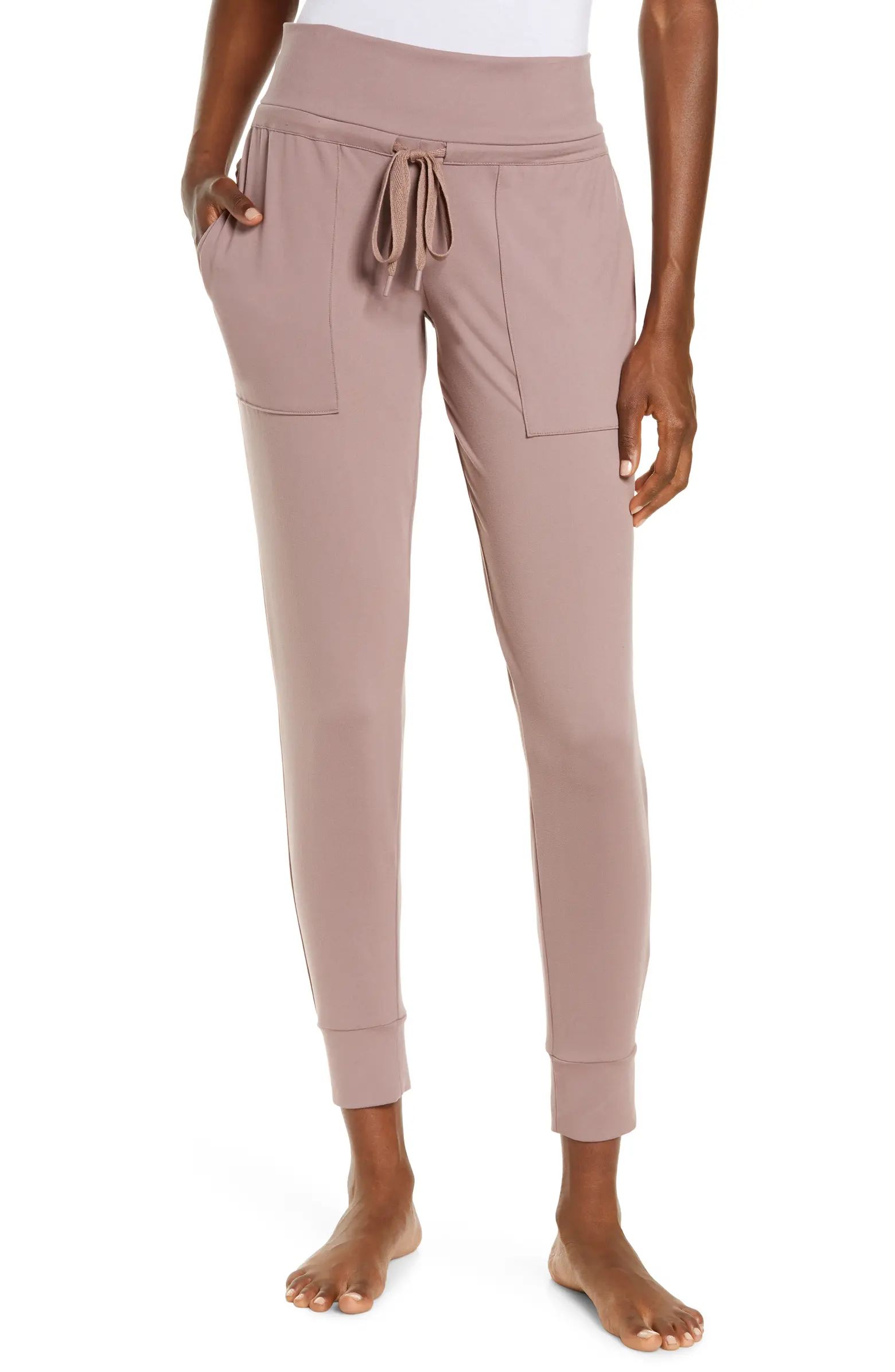 Velvety Soft Joggers | Nordstrom