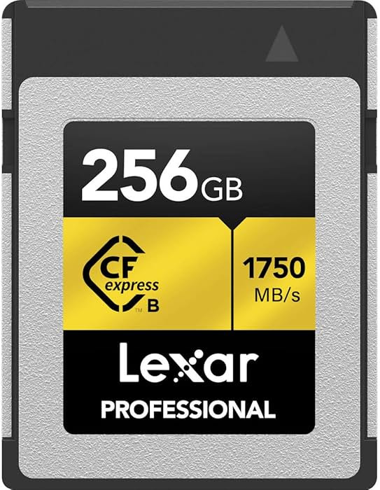 Lexar 256GB Professional CFexpress Type B Memory Card GOLD Series, Up To 1750MB/s Read, Raw 8K Vi... | Amazon (US)