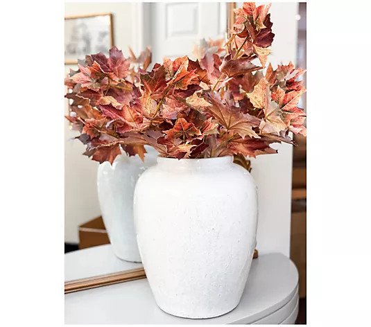 Simply Stunning S/5 Real Touch 30" Maple Leaf Picks by Janine Graff - QVC.com | QVC