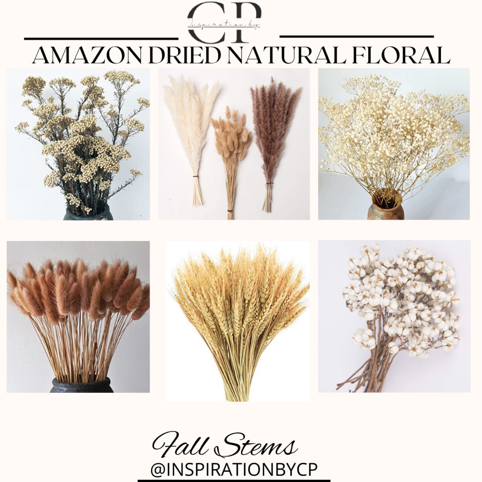 Amazon Fall Dried Florals
Fall decor, dried florals, Amazon stems

#LTKhome #LTKSeasonal #LTKstyletip