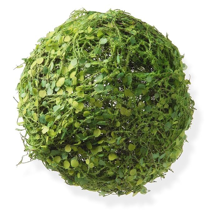 National Tree 8 Inch Ball with Green Leaves and Moss (RAS-B830598-1) | Amazon (US)