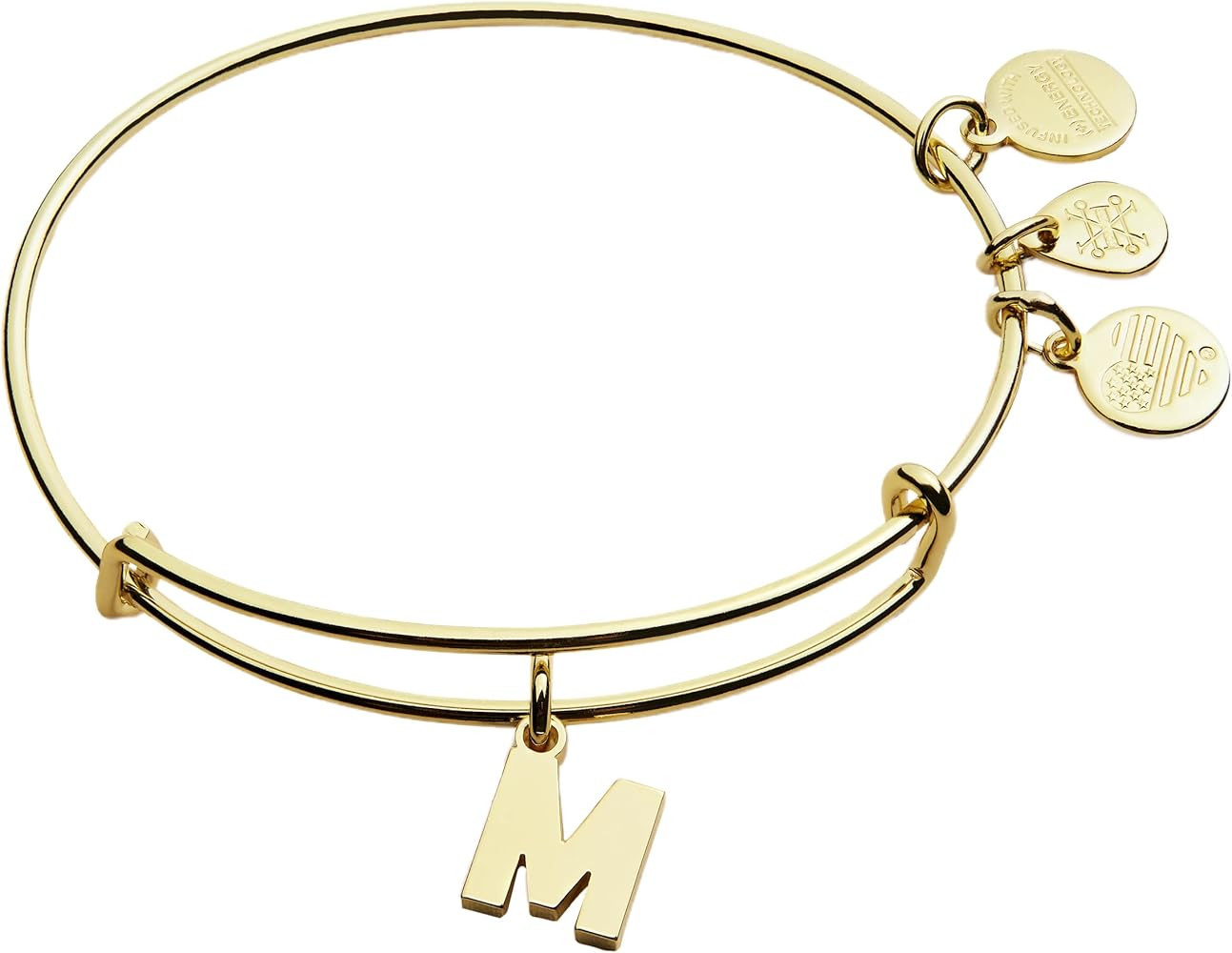 Alex and Ani Expandable Bangle for Women, Initials A to Z Letter Charms, Shiny Finish, 2 to 3.5 i... | Amazon (US)