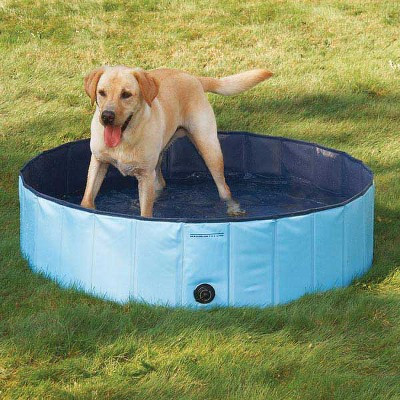 Cool Pup Splash About Portable Dog Pools - Large | Target