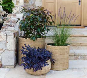 Estelle Handwoven Planter | Pottery Barn (US)